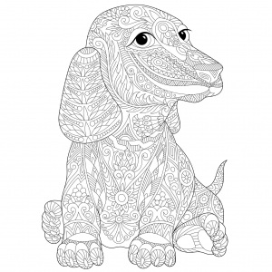coloring-page-dog-to-color-for-kids